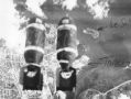 苏联最近爆料了吗视频播放,视频内容深度解析