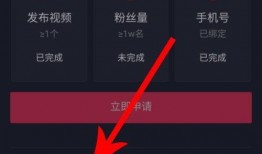 爆料视频顶置怎么看的,揭秘爆料视频如何脱颖而出