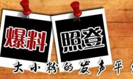 劳务新闻爆料,最新爆料揭示行业变革与挑战