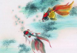 娱乐吃瓜酱飞鸟与鱼