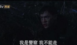 夜狼在线视频观看,揭秘神秘视频背后的故事