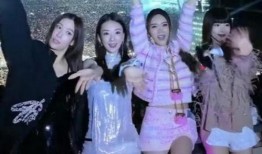 湾湾姐妹娱乐真实爆料,揭秘娱乐圈背后的惊人真相