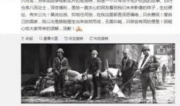 来宾创城爆料事件始末视频,真相与反思