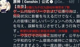 内鬼爆料万叶原视频,万叶原视频背后的惊人真相