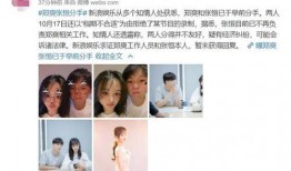 爆料小花分手视频大全,揭秘明星恋情背后的真相