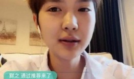 张凯毅直播爆料视频大全,揭秘精彩瞬间与幕后故事