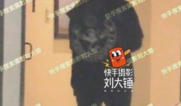 最新冯绍峰爆料视频在线观看,娱乐圈幕后真相大曝光！