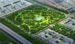 天津公园爆料事件视频,惊人一幕引发社会关注