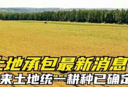 大地最新爆料,最新爆料背后的惊人真相