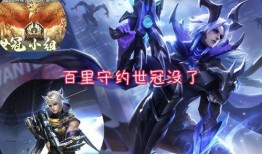 晓智爆料赵云皮肤视频
