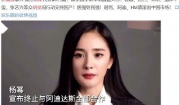 新疆明星爆料新闻事件视频,揭秘幕后真相