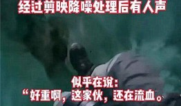 四月爆料压寨事件视频播放,揭秘四月网络热议背后的真相