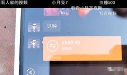 沈猛爆料宝哥视频播放在线观看,宝哥视频播放背后的秘密，在线观看一探究竟！