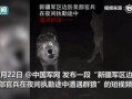 夜狼在线视频观看,揭秘神秘视频背后的故事
