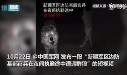 夜狼在线视频观看,揭秘神秘视频背后的故事