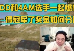 pubg皮肤最新爆料,最新爆料！Pubg皮肤大革新，视觉盛宴即将来袭