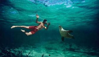 一线吃瓜娱乐圈_海底见月,一线吃瓜达人海底见月，揭秘明星幕后故事